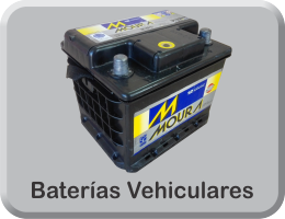 Logo Vehiculares